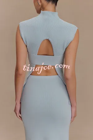 Effortless Chic Ribbed Knit High Neck Open Back Stretch Top